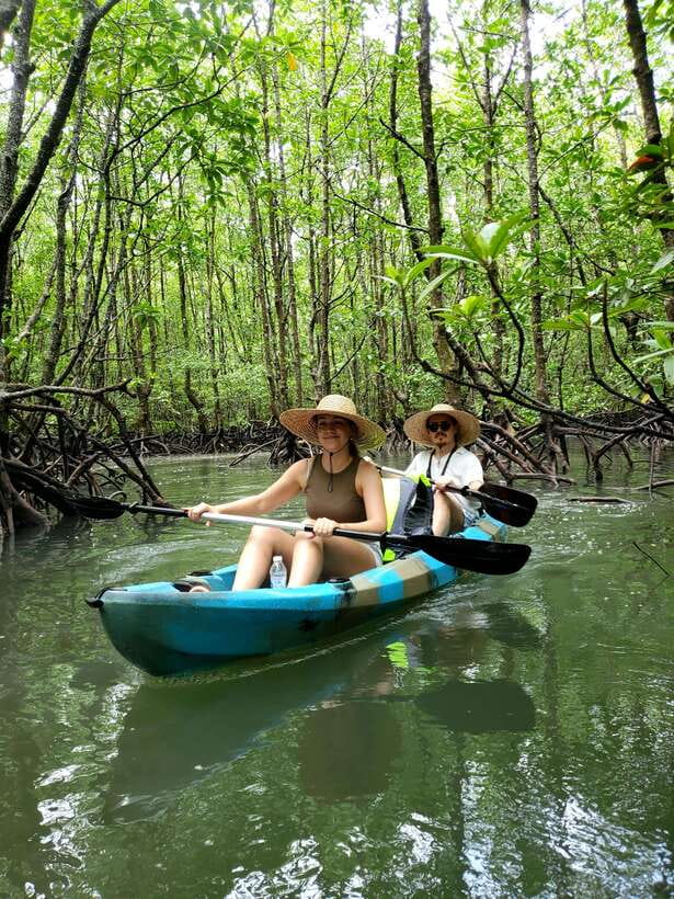 Langkawi : Kilim Geoforest Mangrove Kayak Tour with Lunch - The limestone karst vibe: cliffs and geography up close