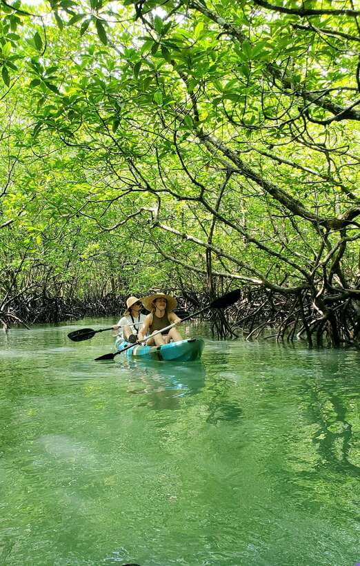 Langkawi : Kilim Geoforest Mangrove Kayak Tour with Lunch - Optional bat cave stop: a different side of Langkawi