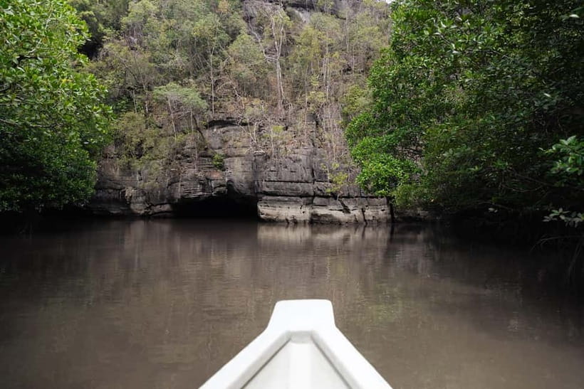 Langkawi: Kilim Geopark Mangrove Tour with Eagle Watching - Monkey watching and eagle watching, what you should do with your eyes
