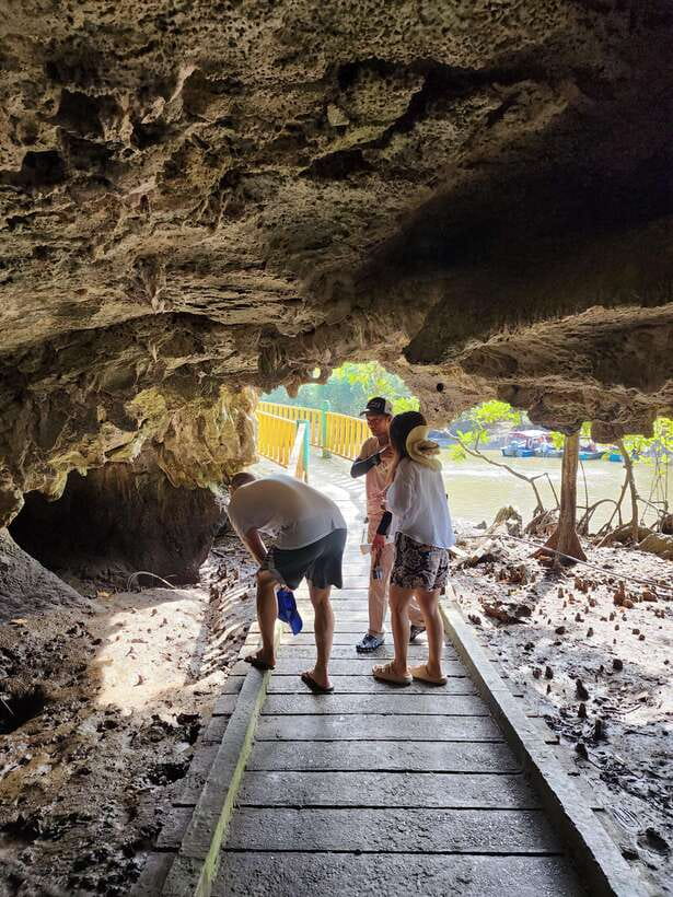 Langkawi : Kilim Mangrove Boat & Fun Kayak Tour with Lunch - Bat Cave and eagle watching, short stops with real purpose