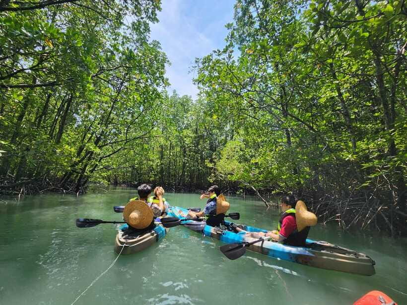 Langkawi : Kilim Mangrove Boat & Fun Kayak Tour with Lunch - Kilim Icon, Shoes Island, and Crocodile Cave