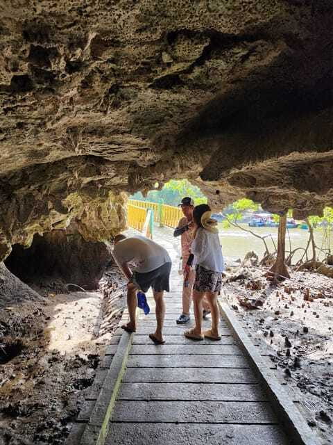 Langkawi : Kilim Mangrove Boat & Fun Kayak Tour with Lunch - The eco tourism angle, conservation you can feel