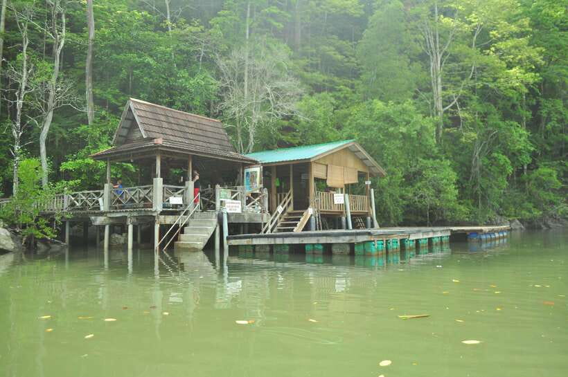 Langkawi: Kilim Mangrove Boat Tour with Lunch and Pickup - The swim stop and the beach break: fun, but plan your gear