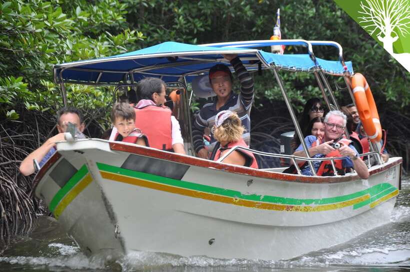 Langkawi: Kilim Mangrove Boat Tour with Lunch and Pickup - Getting picked up and transferred without turning the day into stress