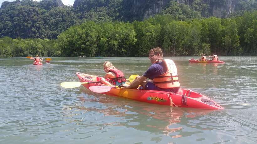 Langkawi: Kilim River Mangrove Safari Kayaking Tour - Wildlife spotting from a kayak: what you can hope to see