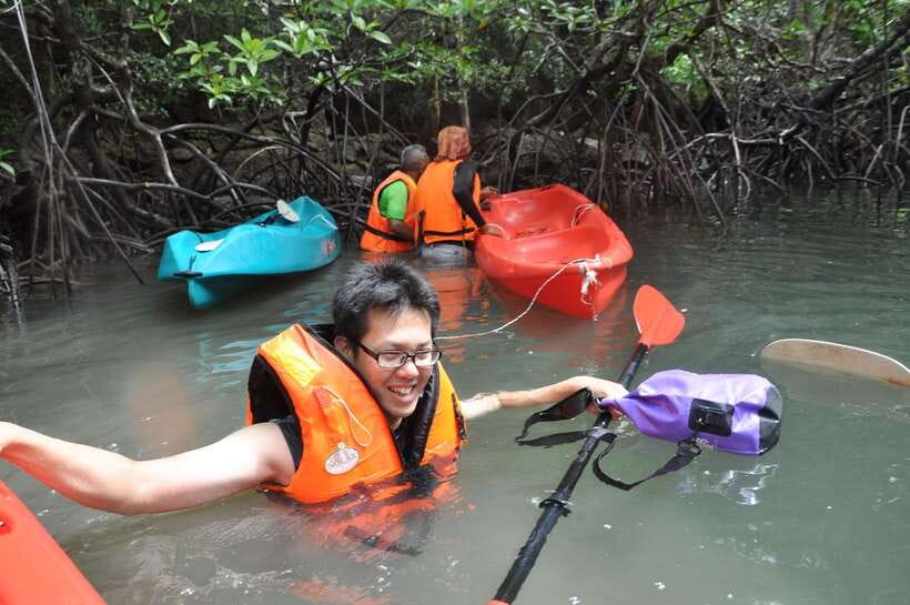 Langkawi: Kilim River Mangrove Safari Kayaking Tour - Guides and group size: the difference between fun and controlled