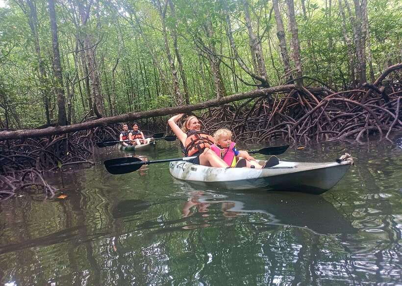 Langkawi: Kilim River Mangrove Safari Kayaking Tour - What to bring (so you stay comfortable, not just dry)