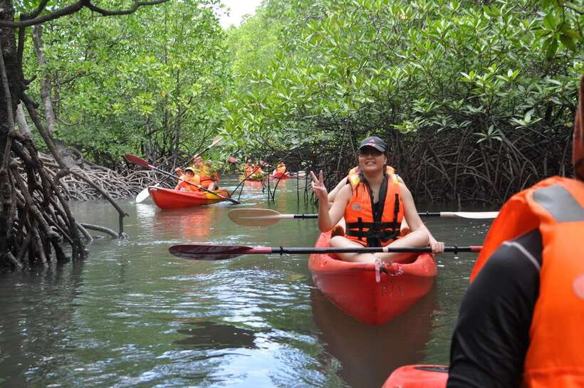 Langkawi: Kilim River Mangrove Safari Kayaking Tour - Price and value: why $71 can feel fair here