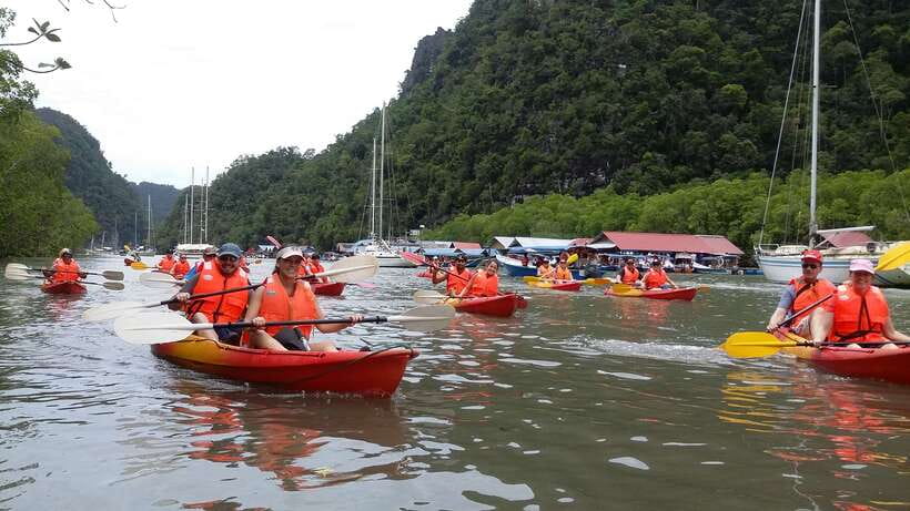Langkawi: Kilim River Mangrove Safari Kayaking Tour - When this tour is the right fit