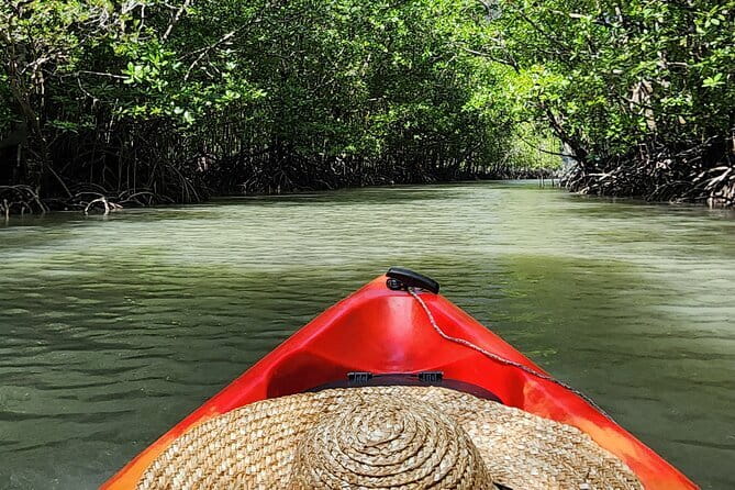 Langkawi Mangrove Kayak Tour by Sham - Meeting at Kilim River Tourism Jetty and Getting There