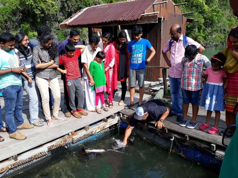 Langkawi: Mangrove Kilim UNESCO Geopark & Cave Tour - Secluded coves and beach time: the swim portion is weather-dependent