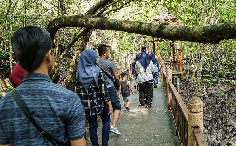 Langkawi: Mangrove Kilim UNESCO Geopark & Cave Tour - Price and value: what $50 buys you, plus possible extras