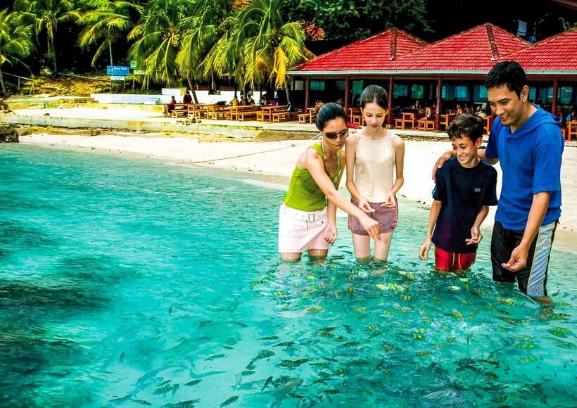 Langkawi: Mangrove Kilim UNESCO Geopark & Cave Tour - Logistics that affect your day: pickup time, waiting, and total duration
