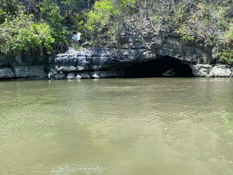 Langkawi Mangrove Monkey Package - Key highlights and why they matter
