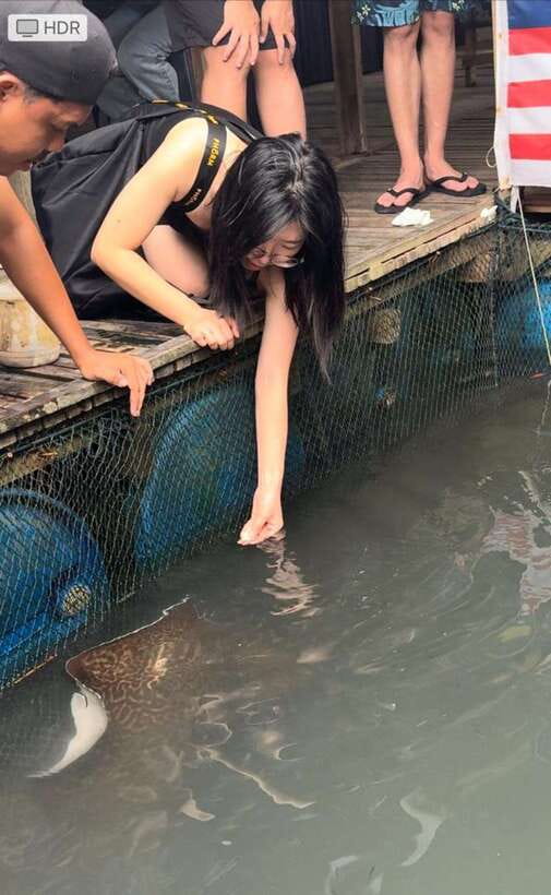 Langkawi Mangrove Monkey Package - Eagle watching and the Andaman Sea cruise: calmer, then thrilling