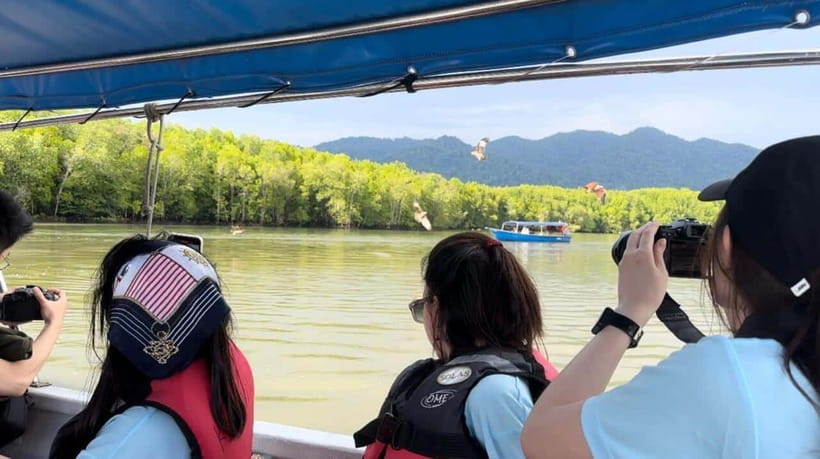 Langkawi Mangrove Monkey Package - Price and value: what you really get for around $37