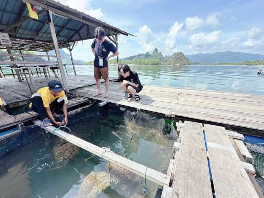 Langkawi Mangrove : Sharing Boat 3Hour estimated (lunch) - Andaman Sea Tour Plus the Wildlife Schedule