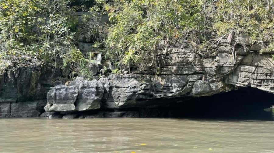 Langkawi Mangrove Tour : Estimated 3 hours Lunch Available - Price and group value for up to 10 people