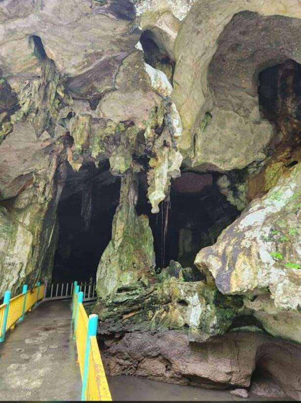 Langkawi:Mangrove Tour Private VIP Boat - Caves, crocodile cave, eagle feeding, and limestone cliff views