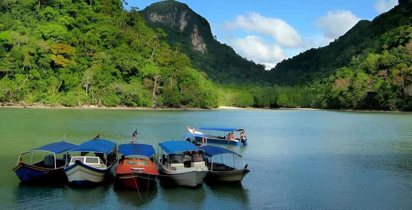 Langkawi: Mangrove Tour with Kilim Geoforest Park & Bat Cave - Key things that make this tour click
