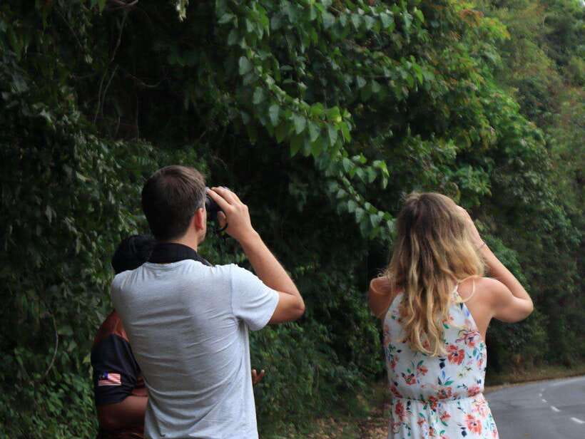Langkawi: Nighttime Rainforest Tour with Nature Guide - The Gunung Raya climb: views, birds, and that last-light magic