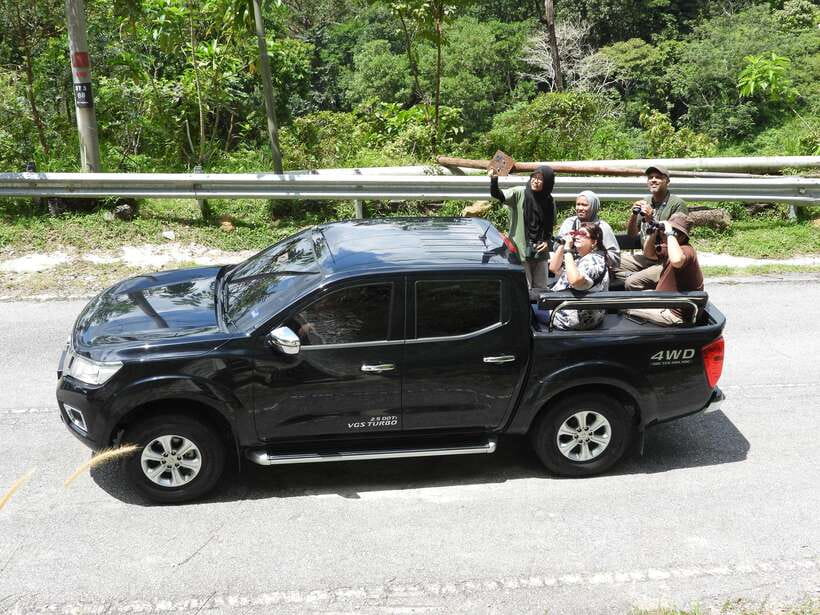 Langkawi: Nighttime Rainforest Tour with Nature Guide - What it is like to be in a group of just 4