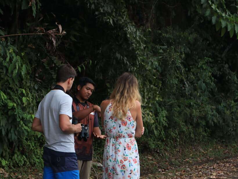 Langkawi: Nighttime Rainforest Tour with Nature Guide - Price and value: is $37 a good deal?