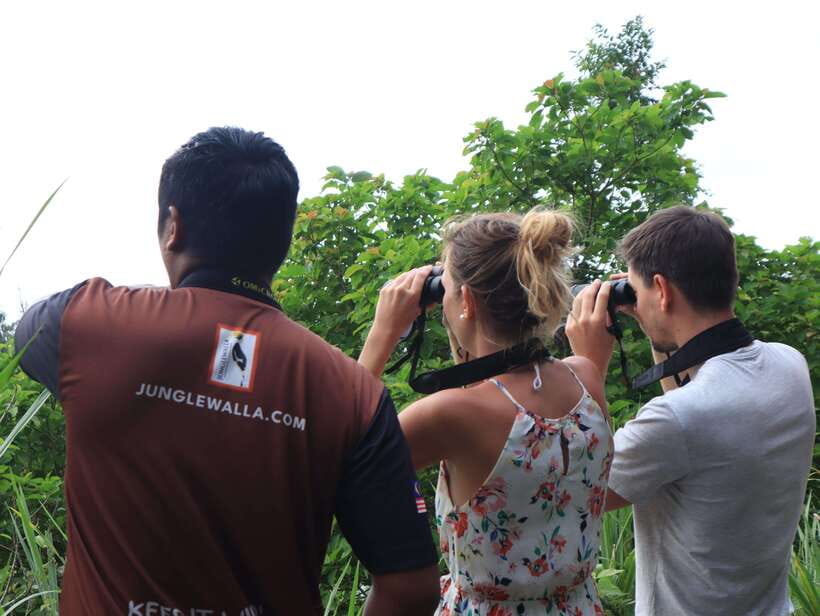 Langkawi: Nighttime Rainforest Tour with Nature Guide - What to bring, and how to avoid ruining night vision