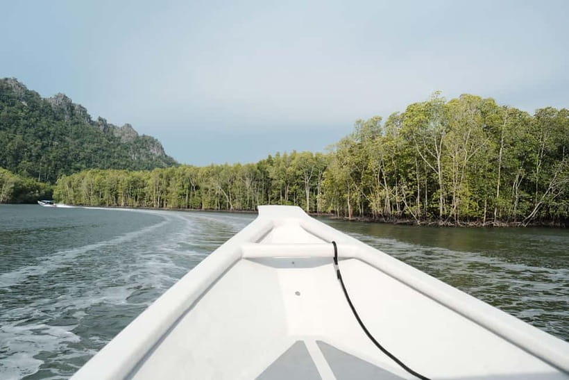 Langkawi: Private 2-Hour Mangrove Tour with Hotel Transfer - Key highlights at a glance