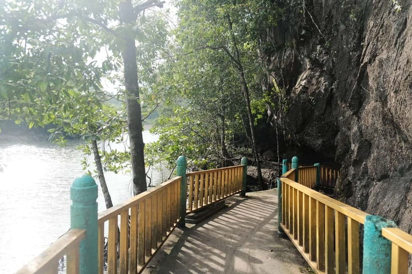 Langkawi: Private 2-Hour Mangrove Tour with Hotel Transfer - Bat Cave Stop, Optional RM2 Entrance, and Floating Food Above the Water