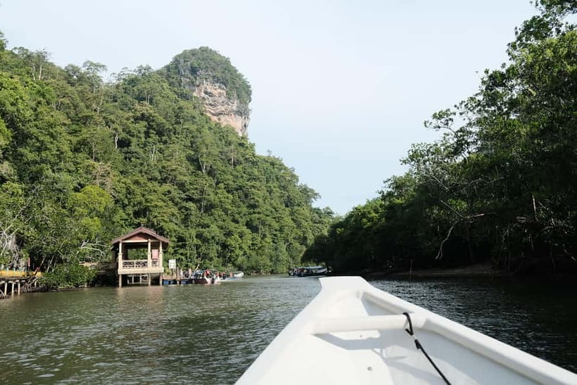 Langkawi: Private 2-Hour Mangrove Tour with Hotel Transfer - Price and Value for Families and Small Private Groups
