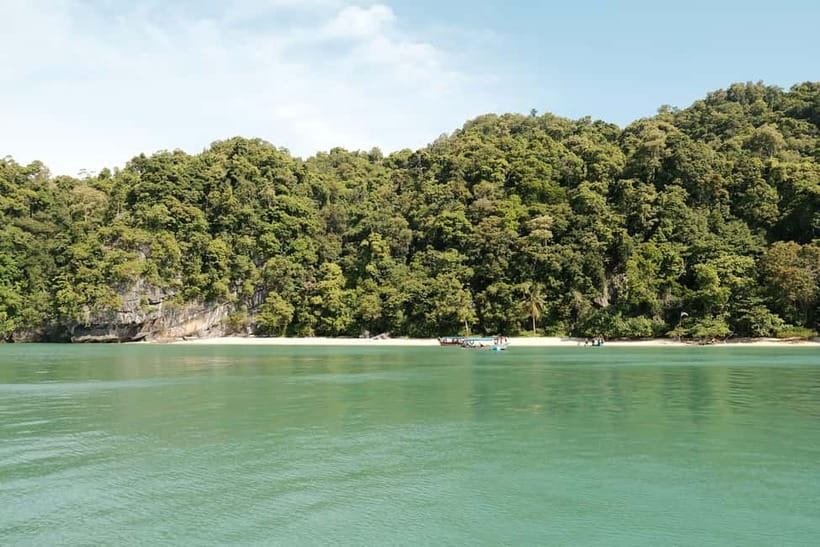 Langkawi: Private 2-Hour Mangrove Tour with Hotel Transfer - Who This Mangrove Tour Is Best For