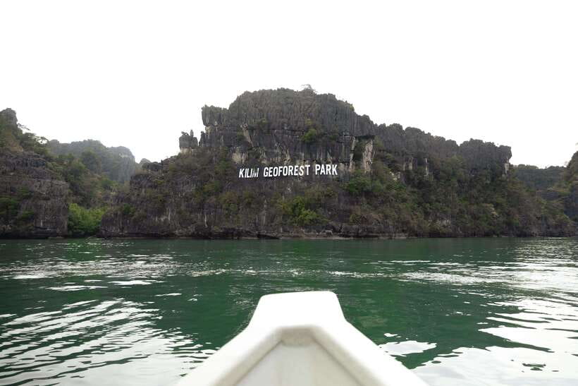 Langkawi Royal Mangrove Tour with Snorkeling Package - Wildlife encounters, and how to make them more likely