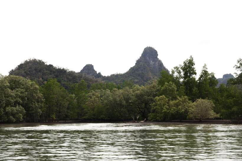 Langkawi Royal Mangrove Tour with Snorkeling Package - Snorkeling at Dangi Island, how to set expectations