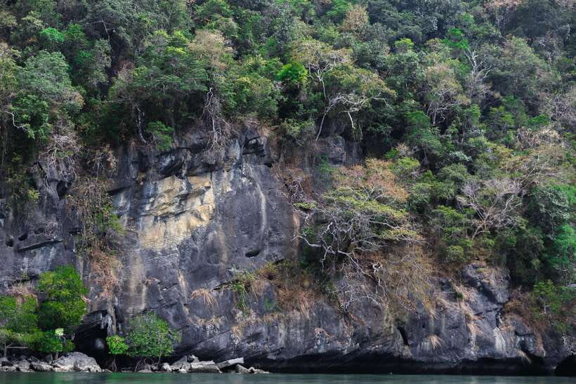 Langkawi Royal Mangrove Tour with Snorkeling Package - What the 3-hour timing feels like in real life