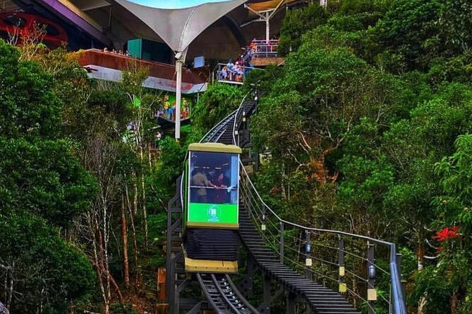Langkawi SkyBridge, Cable Car and Refreshing Natures Private Tour - Walking the SkyBridge: what to expect on the curved span