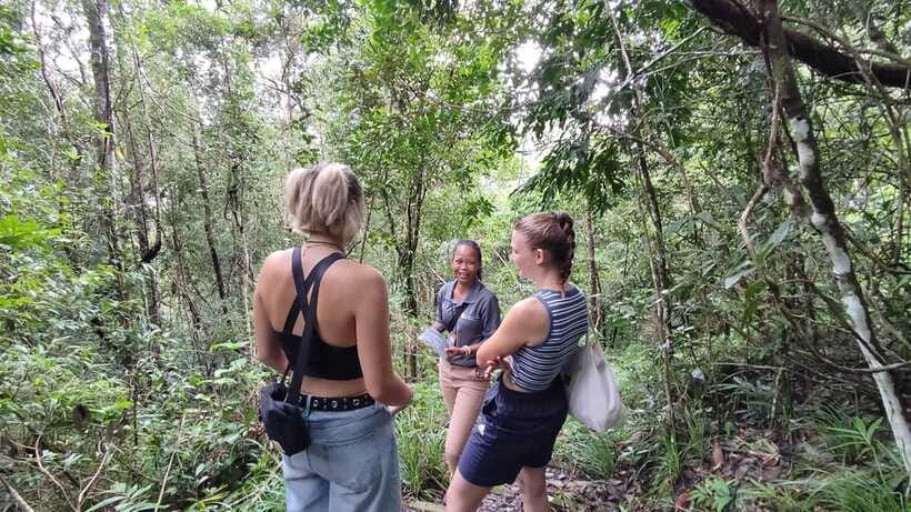 Langkawi SkyTrail Hiking and Cable Car Experience - SkyDome, SkyRex, and the 3D Art Gallery, What You’ll Actually Do