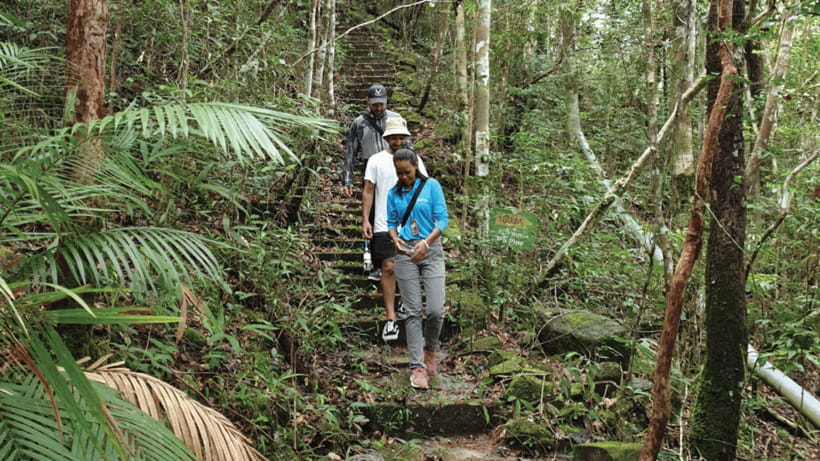 Langkawi SkyTrail Hiking and Cable Car Experience - Price and Value at About $65 Per Person