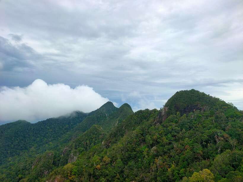 Langkawi SkyTrail Hiking and Cable Car Experience - Choosing Your Trail: Beginner, Intermediate, or Challenging
