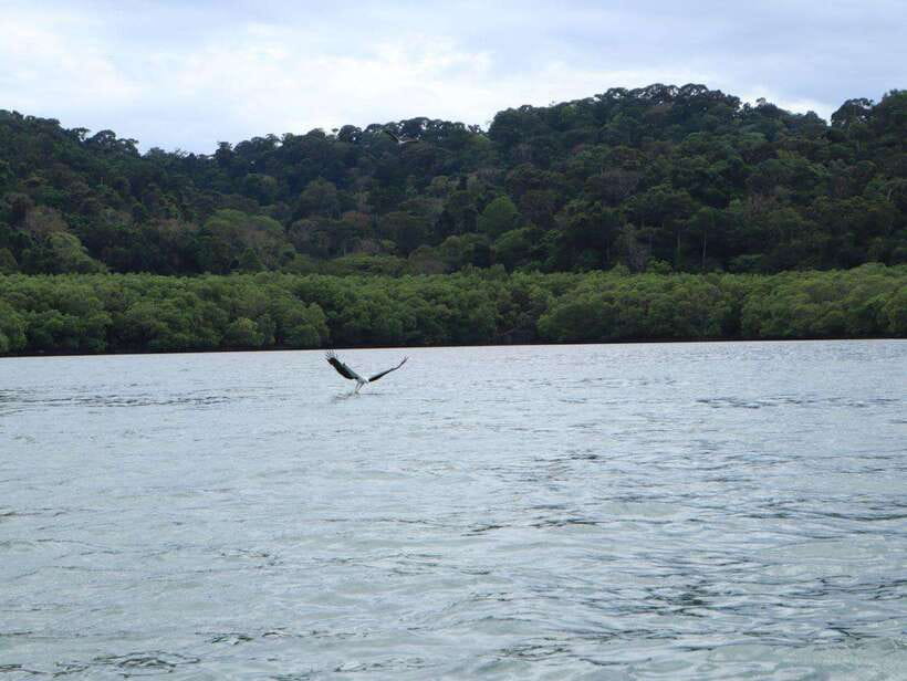 Langkawi: Southern Island Geopark Tour - What to Bring, What to Skip, and Who Should Avoid This Tour