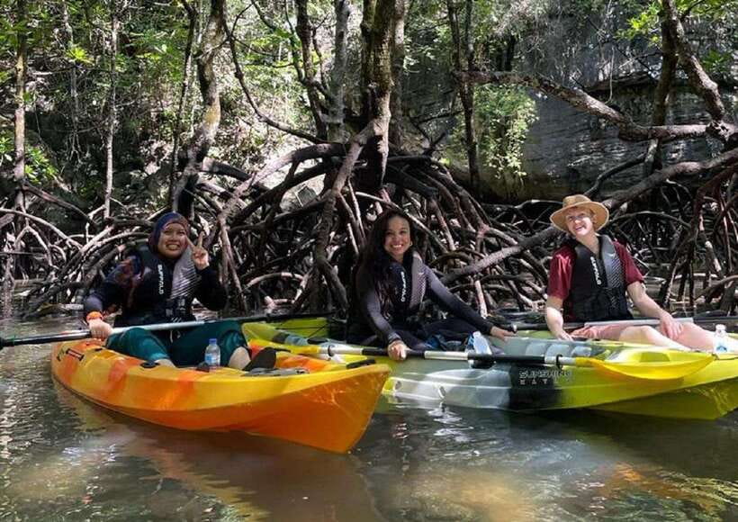 Langkawi: Sunset Kayaking Tour - Mangrove edutainment: lessons that make the scenery stick
