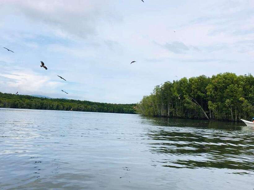 Langkawi: Tanjung Rhu Mangrove Speedboat Tour - Tanjung Rhu Mangrove Speedboat, What the Ride Feels Like