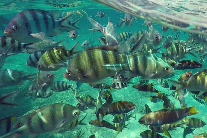 Langkawi Tour A - Land Tour & Pulau Dangli Snorkeling - Sandy Skulls Beach: the forest road and the slow mood
