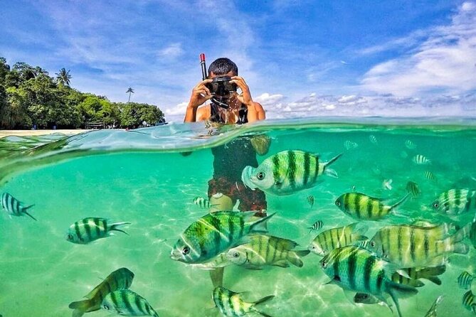 Langkawi Tour A - Land Tour & Pulau Dangli Snorkeling - Pulau Dangli snorkeling: the day’s clearest payoff