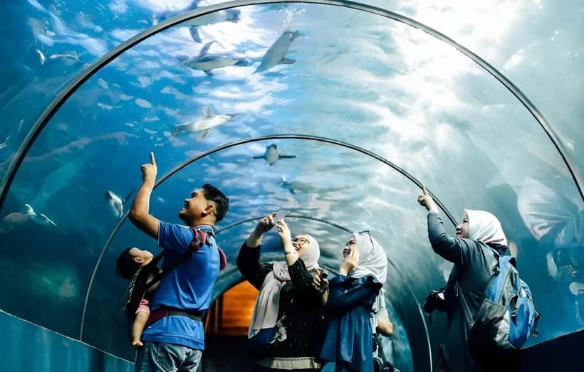 Langkawi: Underwater World Langkawi Entry Ticket - Marine Life Zone: jellyfish, rays, seahorses, and those hypnotic tank moments