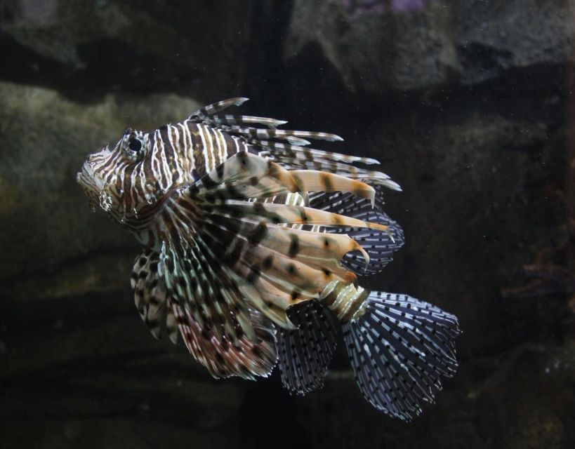 Langkawi: Underwater World Langkawi Entry Ticket - Rainforest Zone: birds and freshwater life for a nice change of pace