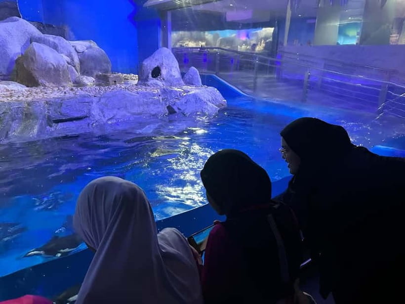 Langkawi: Underwater World Langkawi Entry Ticket - Sub-Antarctic Zone: African and Rockhopper penguins plus fur seal feeding