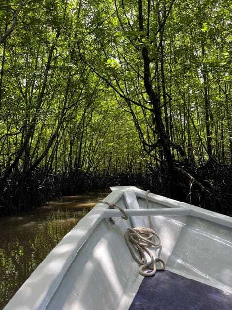 Langkawi: UNESCO Global Geopark Mangrove Cruise - Price and value: about $34, and what makes it feel fair