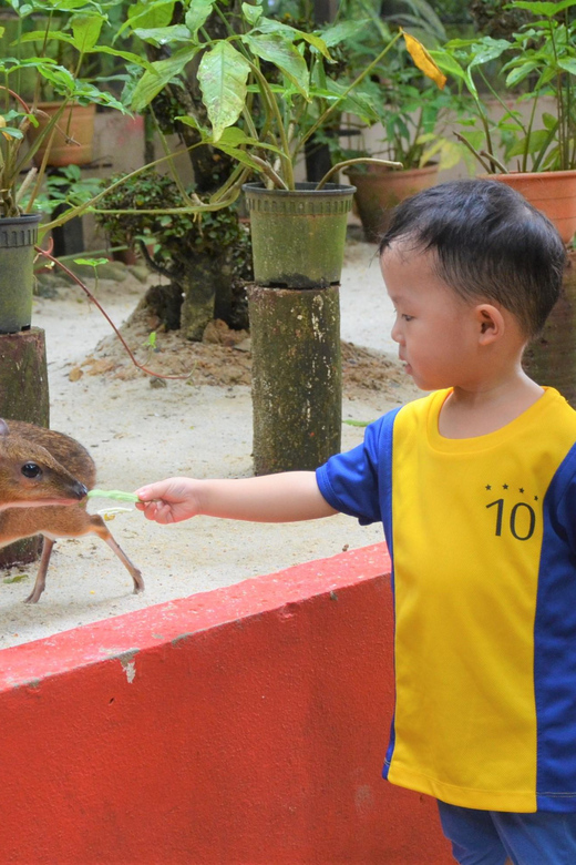 Langkawi: Wildlife Park Admission Ticket - Who this Langkawi wildlife ticket is best for