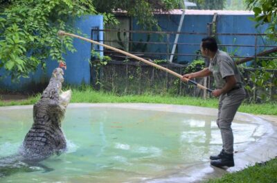 Wildlife Park Admission Ticket